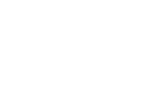 Logo AAVP
