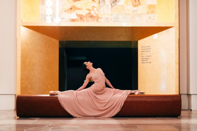 PAL Dans ses murs voués aux merveilles… | AAVP Architecture