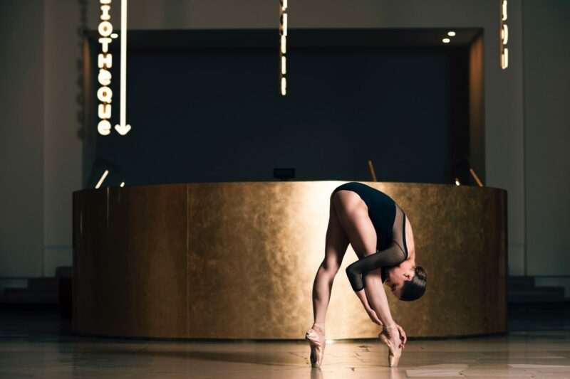 PAL Dans ses murs voués aux merveilles… | AAVP Architecture