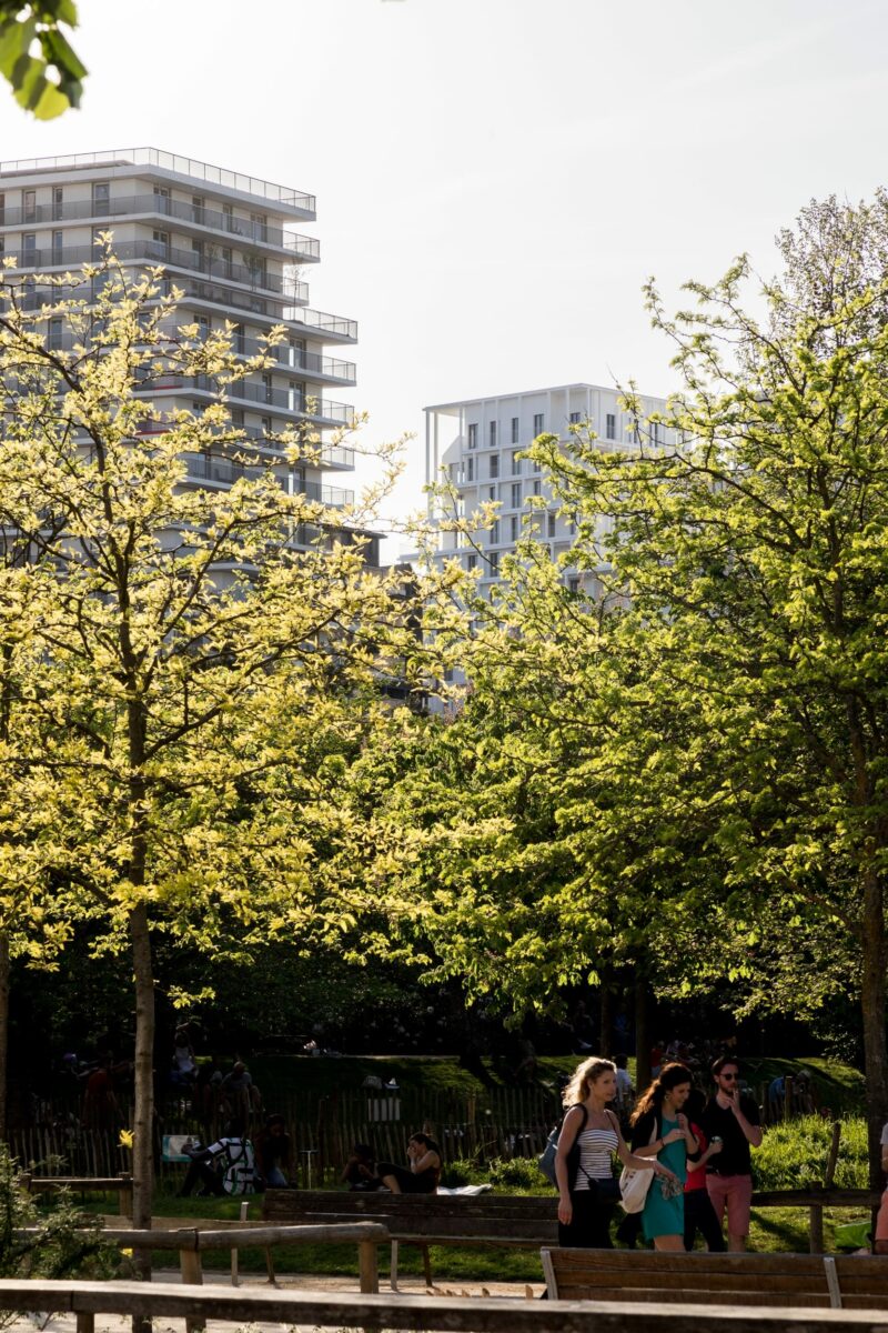 BAT Château de cartes | AAVP Architecture